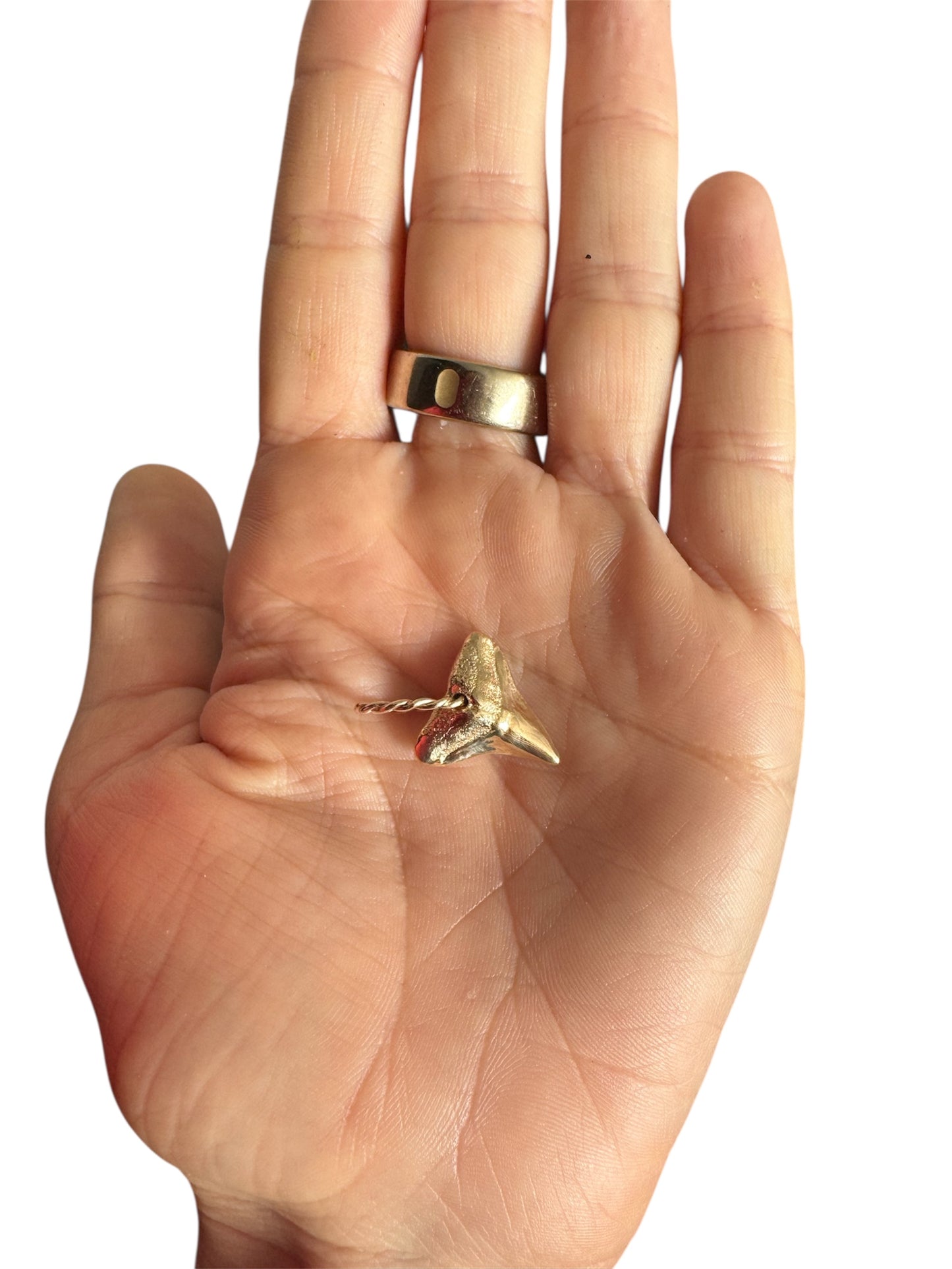 Shark Pendant 14K Solid Gold or Sterling Silver - WATERPROOF